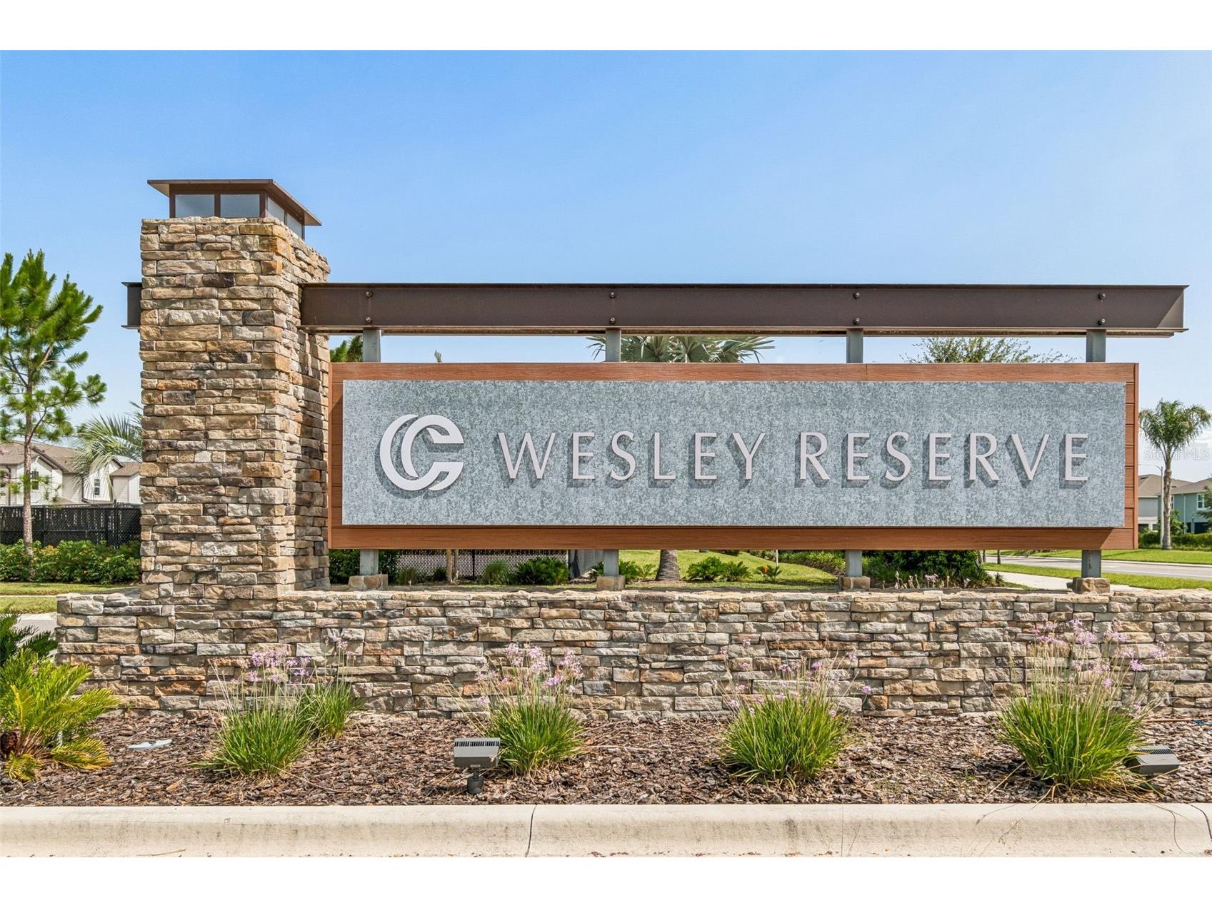 31357 Amberview Bend Wesley Chapel FL 33545 TB8523248 image27