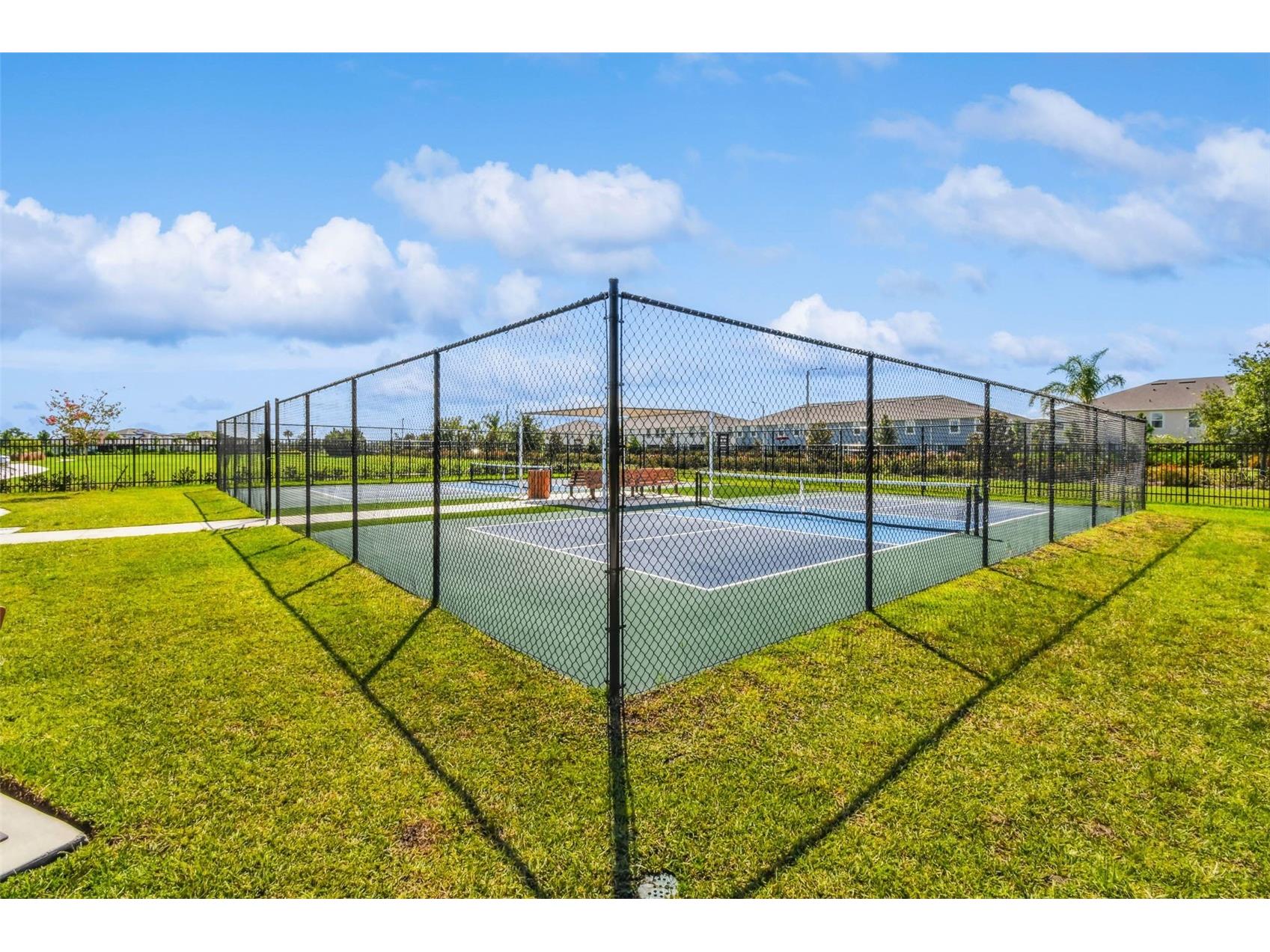 31357 Amberview Bend Wesley Chapel FL 33545 TB8523248 image44
