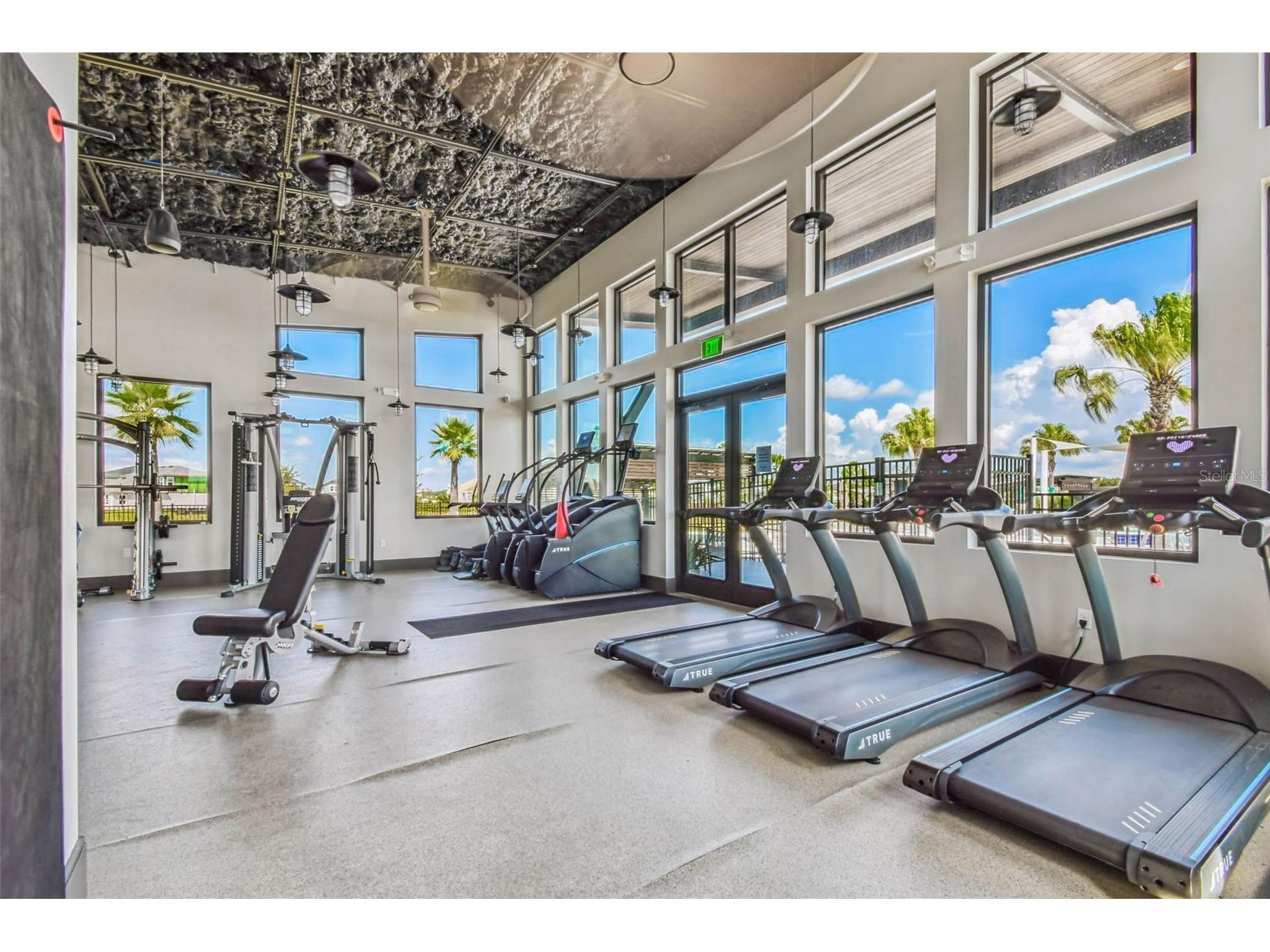 31357 Amberview Bend Wesley Chapel FL 33545 TB8523248 image55