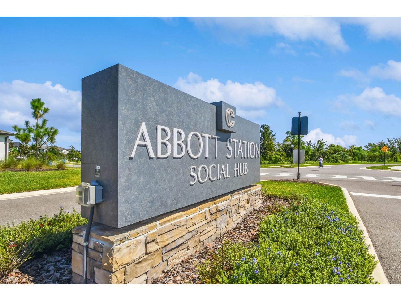 31357 Amberview Bend Wesley Chapel FL 33545 TB8523248 image62