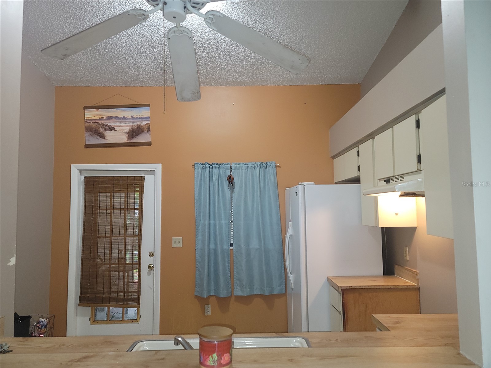 3136 Albin Lane Orlando FL 32817 O6420850 image5