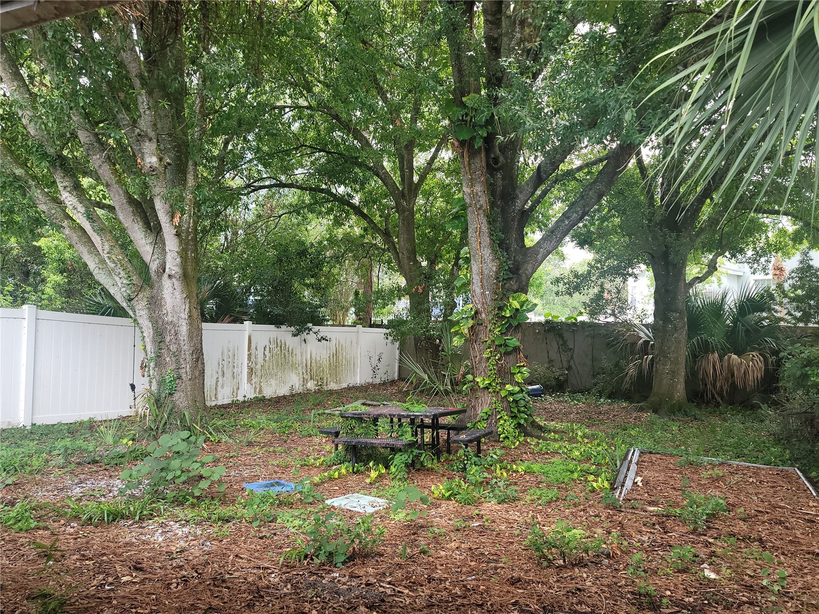 3136 Albin Lane Orlando FL 32817 O6420850 image8