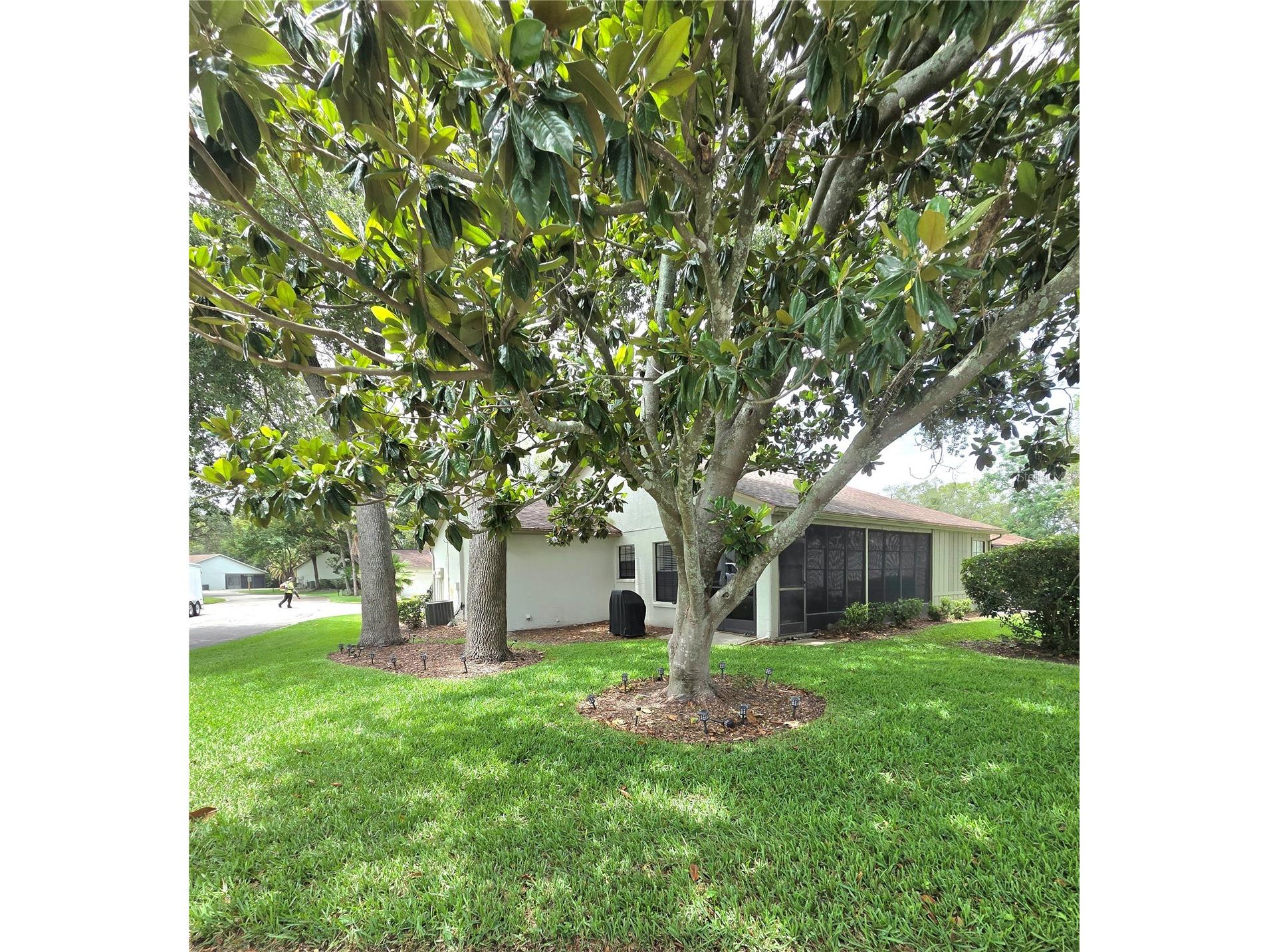 3136 Cloister Court Spring Hill FL 34606 TB8515406 image47