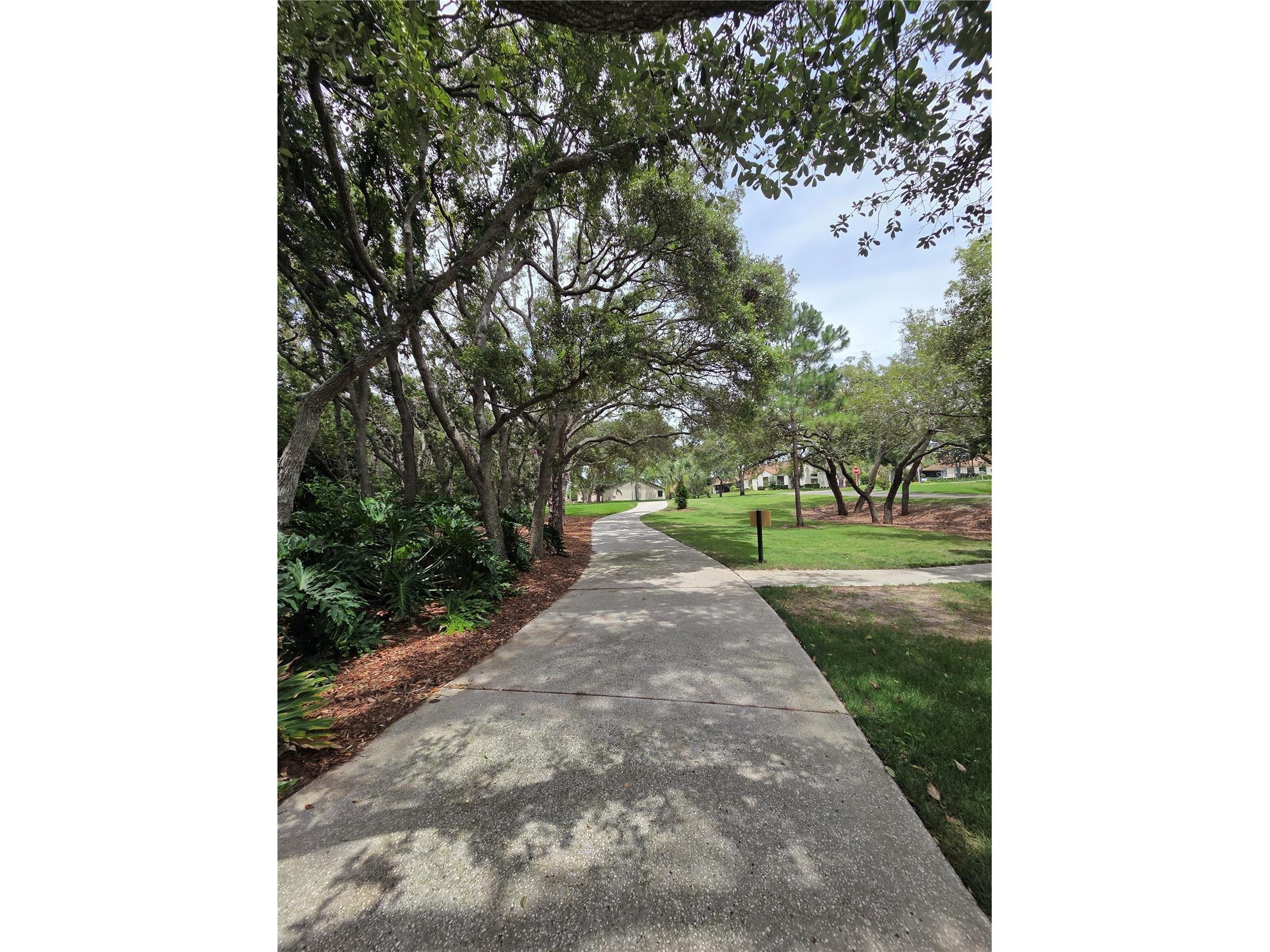 3136 Cloister Court Spring Hill FL 34606 TB8515406 image52