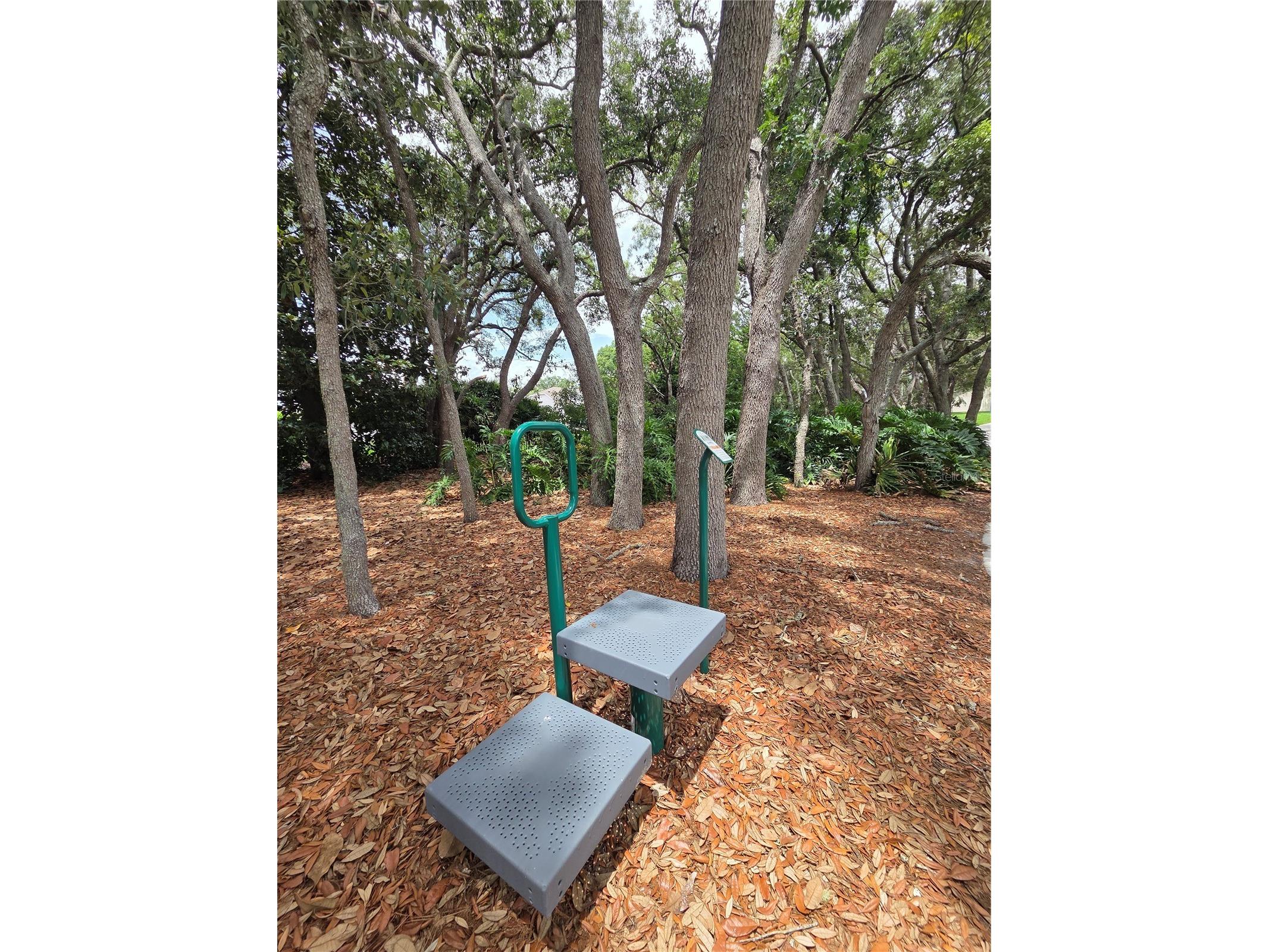 3136 Cloister Court Spring Hill FL 34606 TB8515406 image53