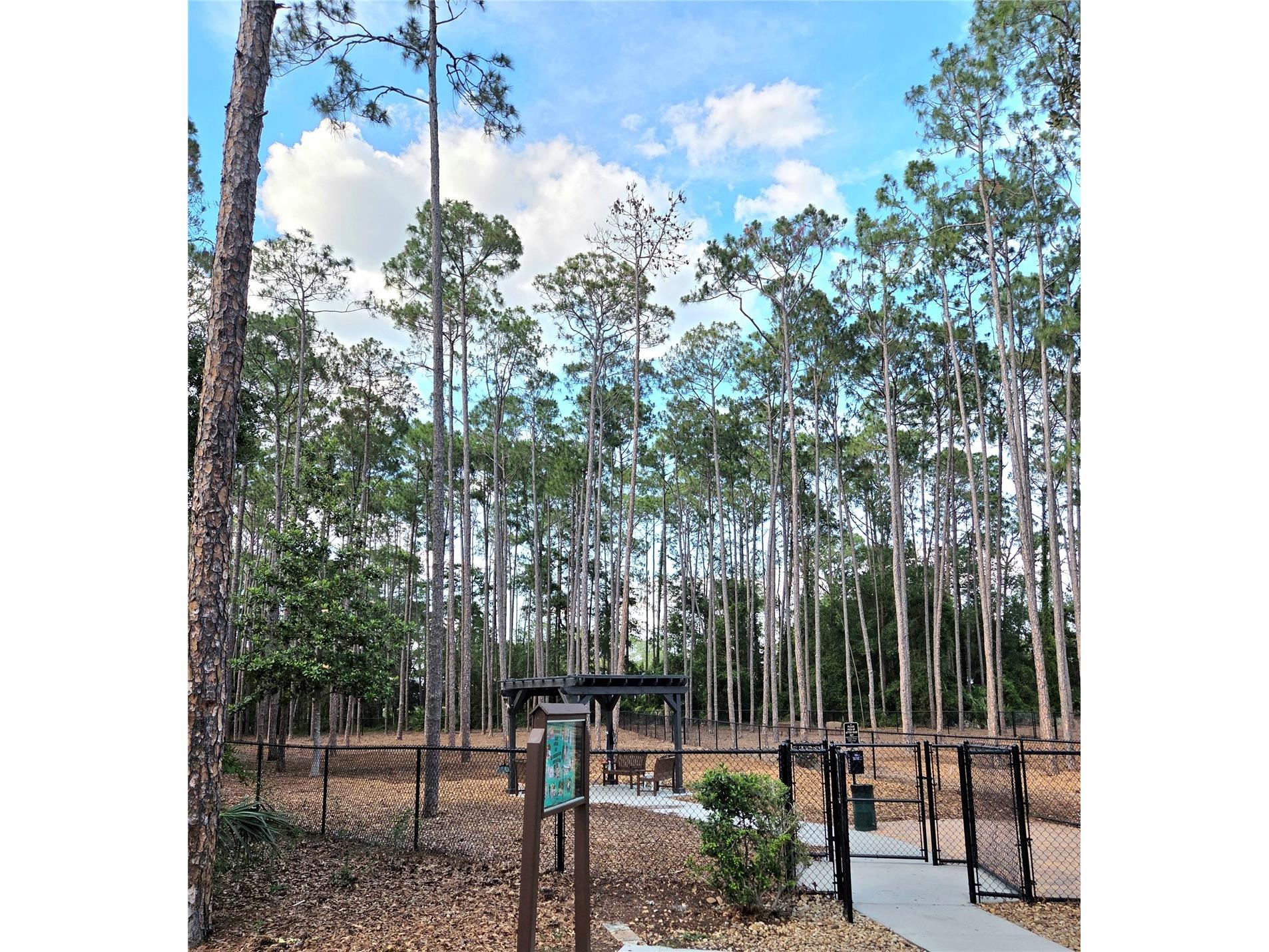 3136 Cloister Court Spring Hill FL 34606 TB8515406 image68