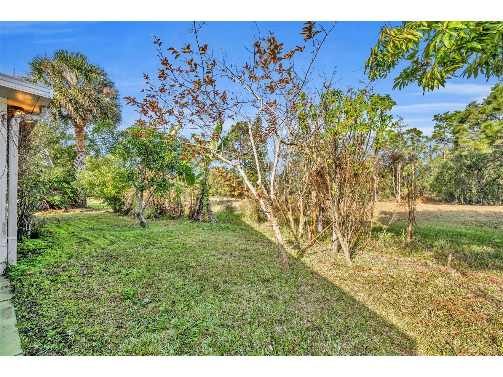 3136 Crystal Creek Boulevard Orlando FL 32837 O6377463 image42