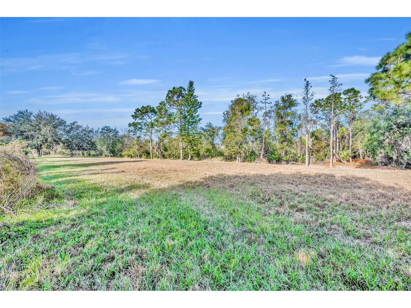 3136 Crystal Creek Boulevard Orlando FL 32837 O6377463 image46