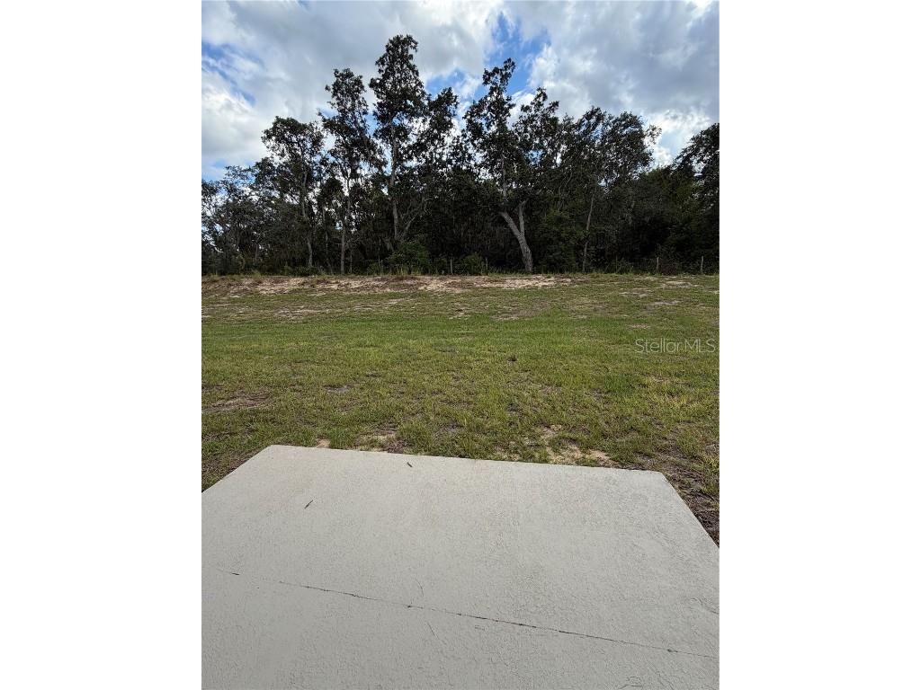 3136 Goose Road Davenport FL 33837 O6354571 image10