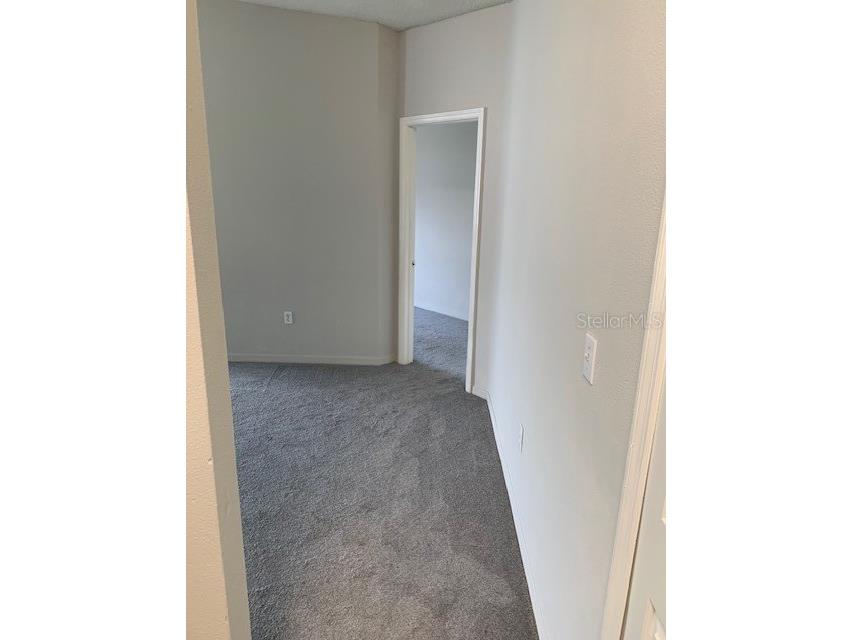 3136 Pine Top Drive Valrico FL 33594 TB8490444 image11
