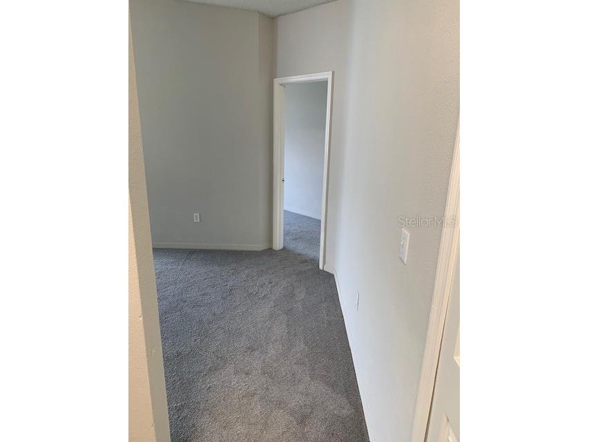 3136 Pine Top Drive Valrico FL 33594 TB8490444 image12