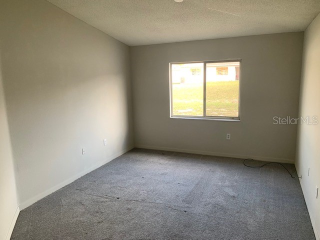 3136 Pine Top Drive Valrico FL 33594 TB8490444 image13