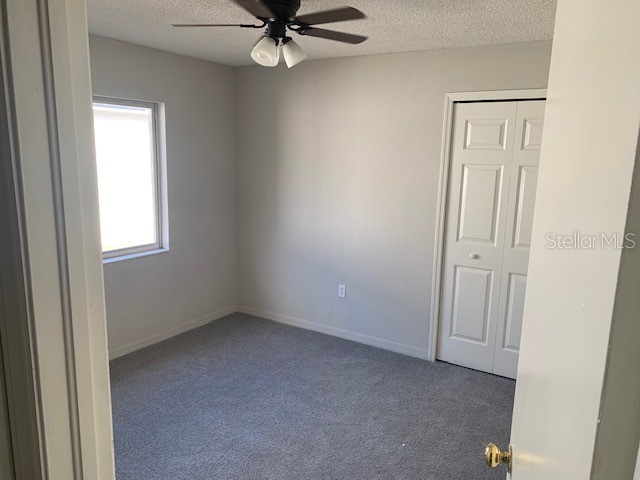 3136 Pine Top Drive Valrico FL 33594 TB8490444 image4
