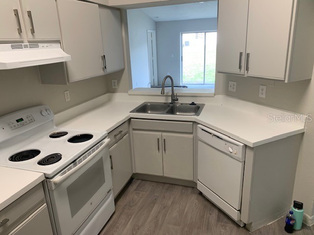 3136 Pine Top Drive Valrico FL 33594 TB8490444 image5