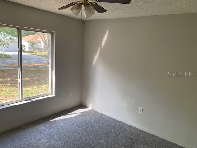 3136 Pine Top Drive Valrico FL 33594 TB8490444 image9