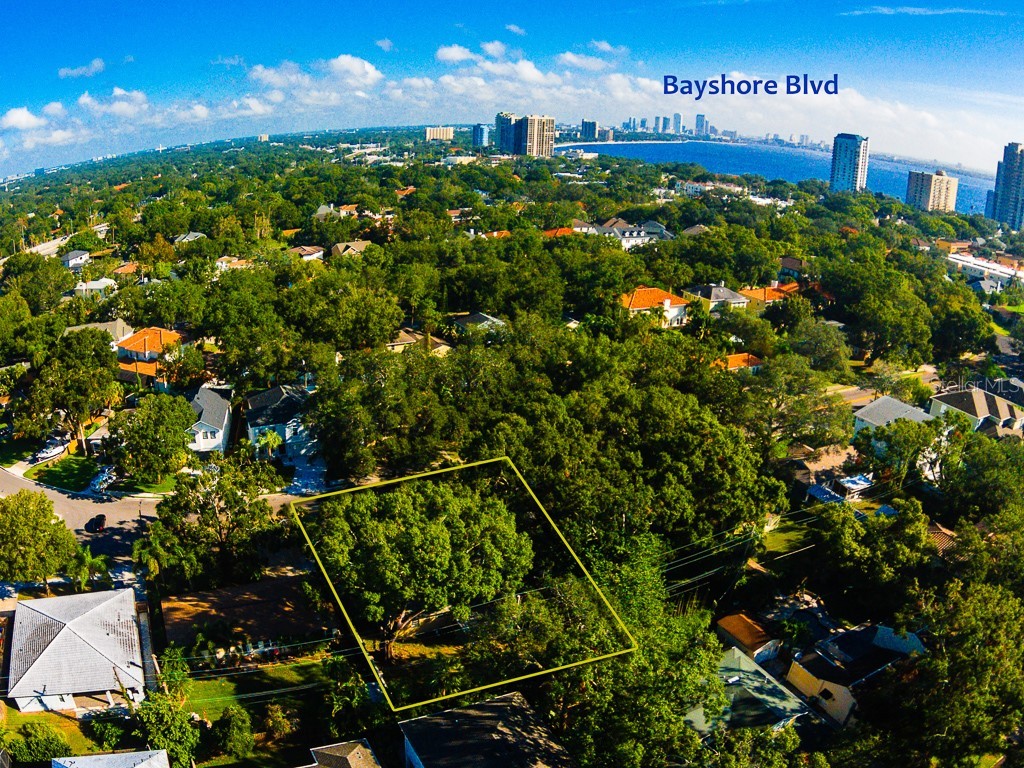 3136 W Euclid Avenue Tampa FL 33629 TB8515352 image13