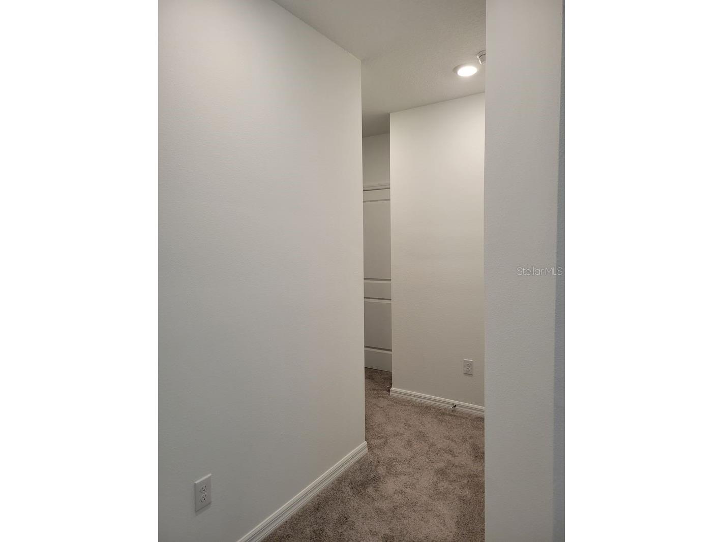 31364 Midnight Sun Way Wesley Chapel FL 33545 TB8503762 image10