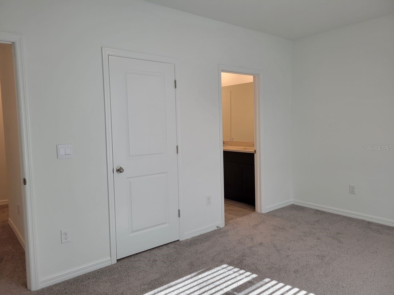 31364 Midnight Sun Way Wesley Chapel FL 33545 TB8503762 image12