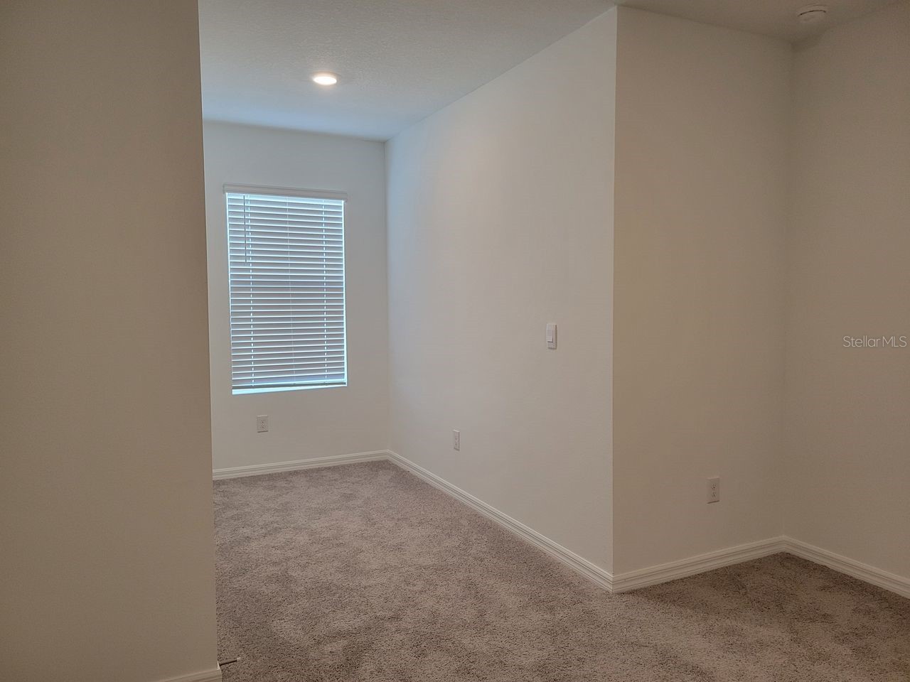 31364 Midnight Sun Way Wesley Chapel FL 33545 TB8503762 image18