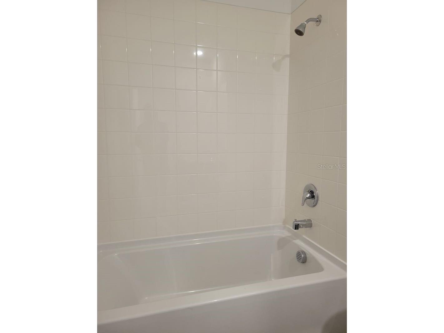 31364 Midnight Sun Way Wesley Chapel FL 33545 TB8503762 image22