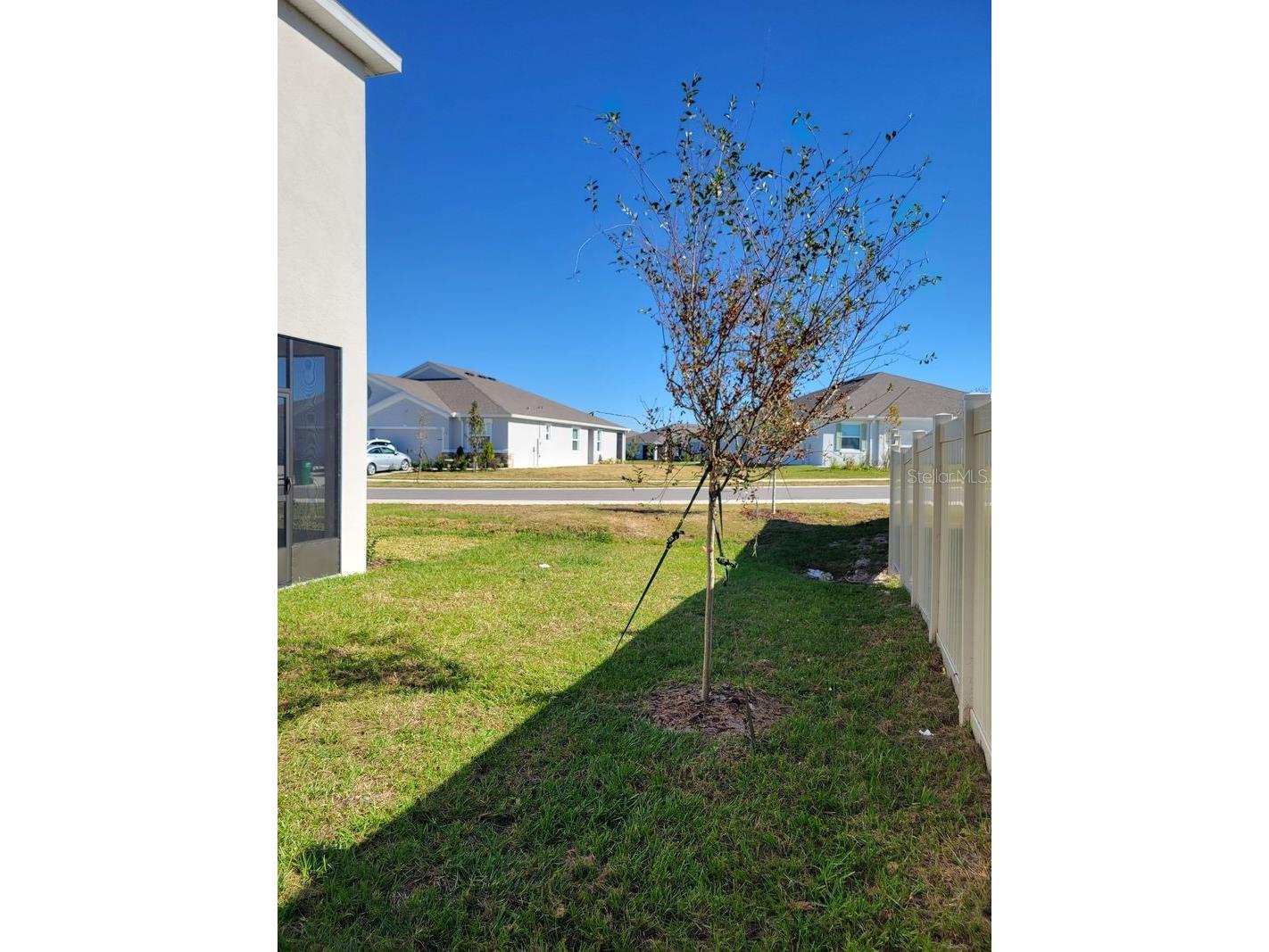 31364 Midnight Sun Way Wesley Chapel FL 33545 TB8503762 image24