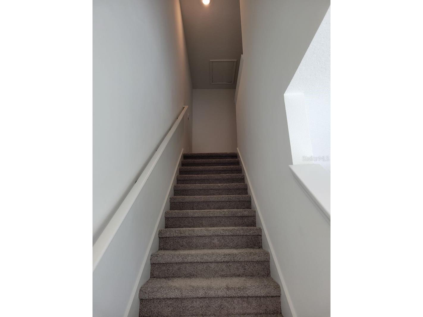 31364 Midnight Sun Way Wesley Chapel FL 33545 TB8503762 image9