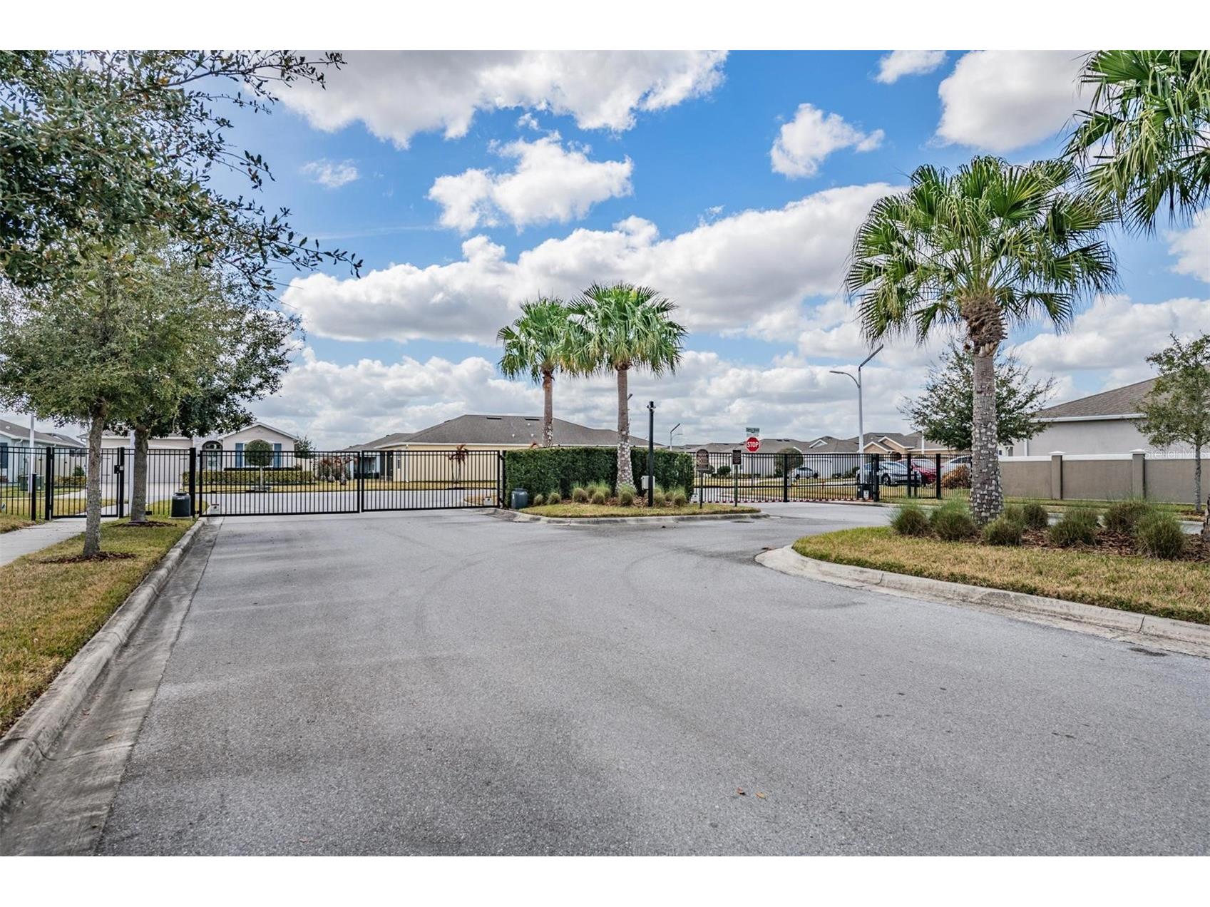 31364 Tansy Bend Wesley Chapel FL 33545 TB8477056 image38
