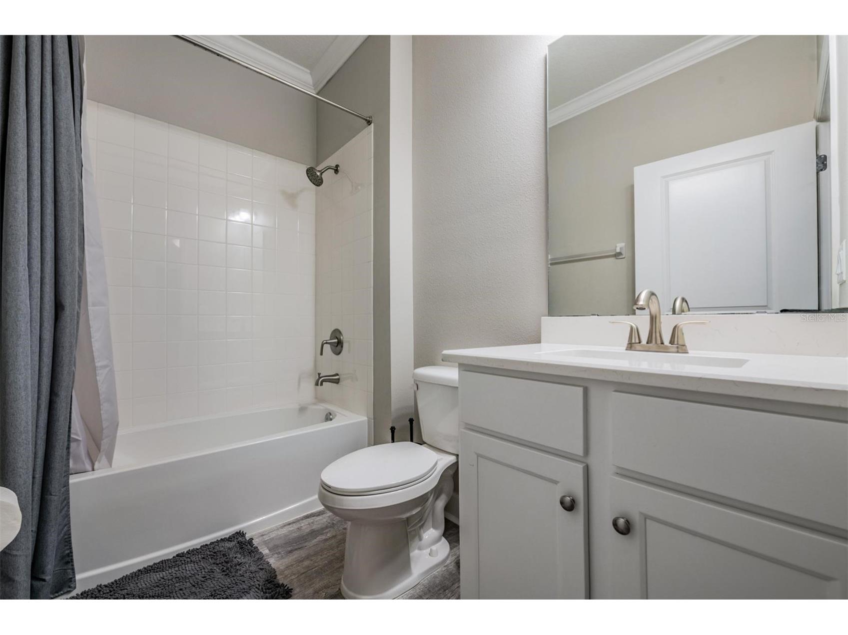 31364 Tansy Bend Wesley Chapel FL 33545 TB8477056 image4