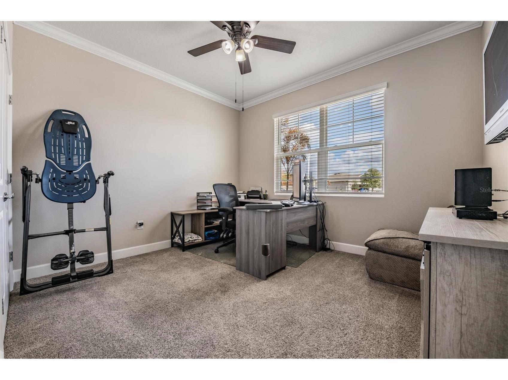 31364 Tansy Bend Wesley Chapel FL 33545 TB8477056 image6
