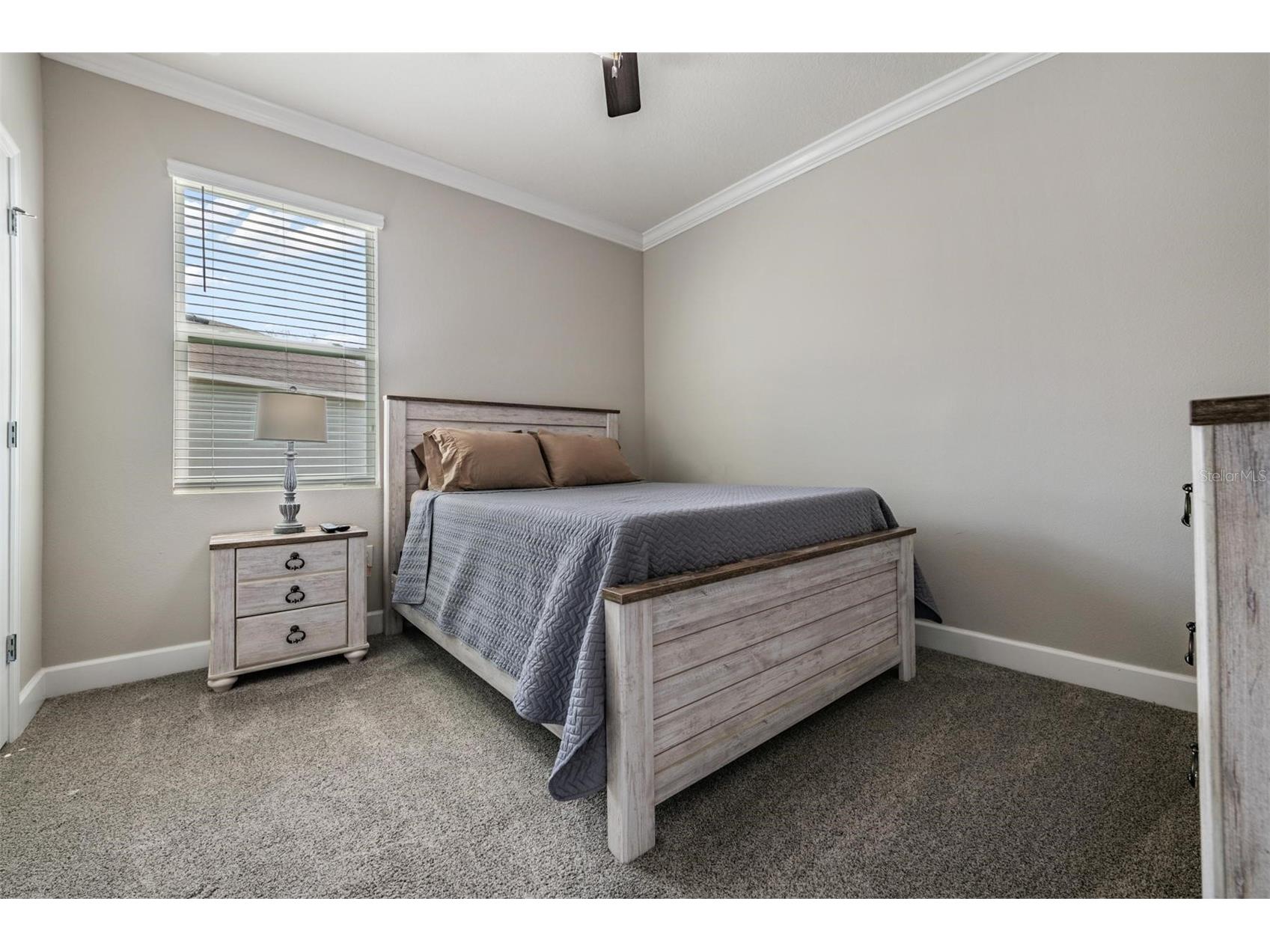 31364 Tansy Bend Wesley Chapel FL 33545 TB8477056 image8