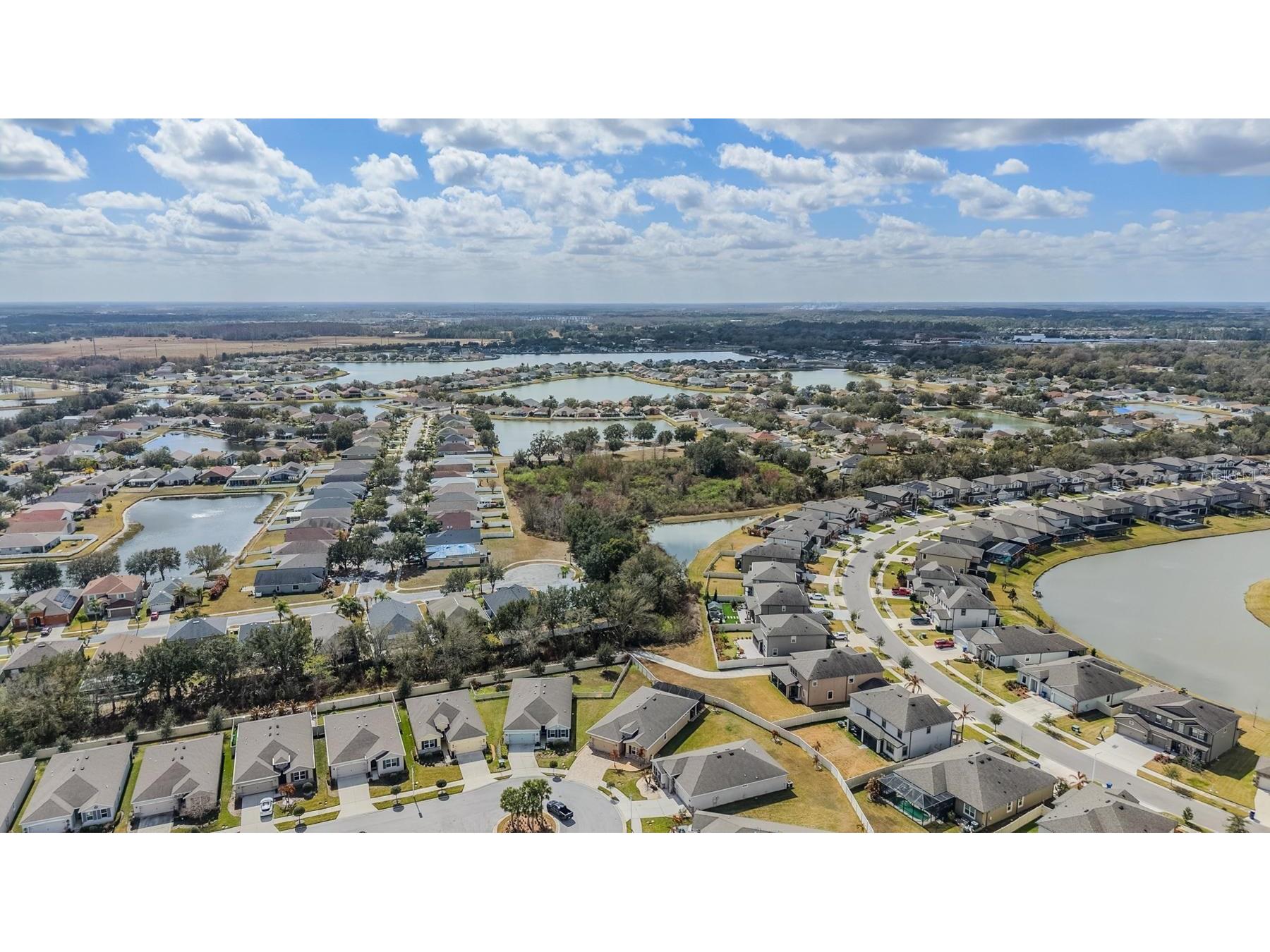 31364 Tansy Bend Wesley Chapel FL 33545 TB8477056 image93