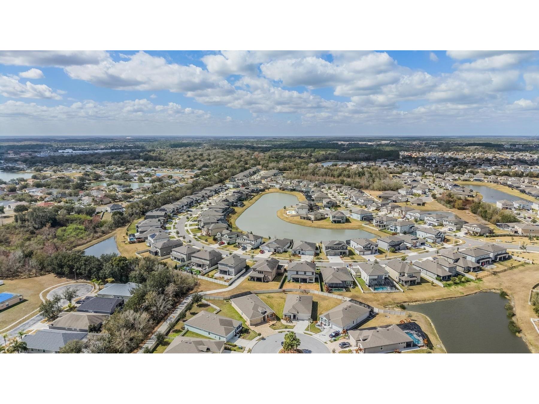 31364 Tansy Bend Wesley Chapel FL 33545 TB8477056 image95
