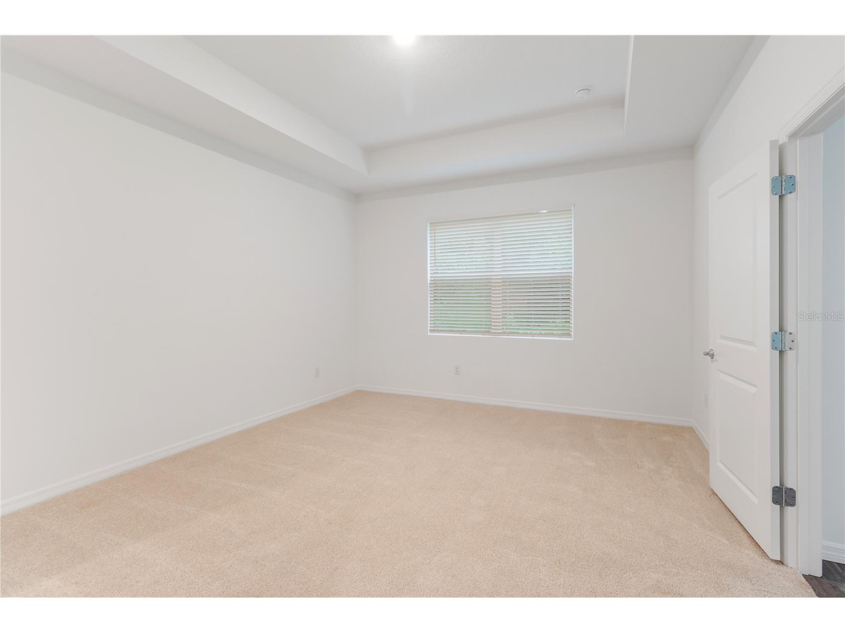 31365 Paper Birch Street Wesley Chapel FL 33545 W7885974 image14