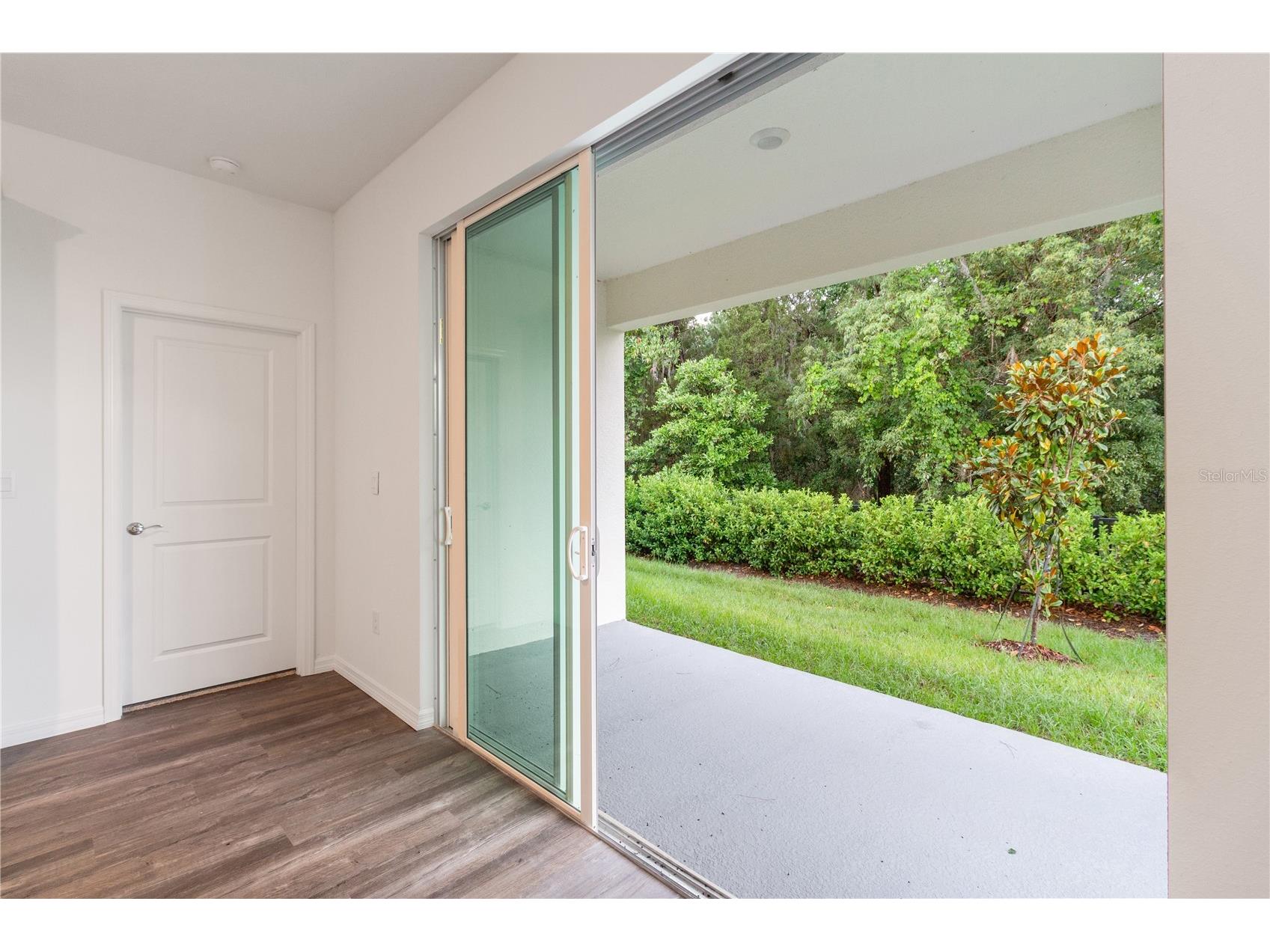 31365 Paper Birch Street Wesley Chapel FL 33545 W7885974 image17