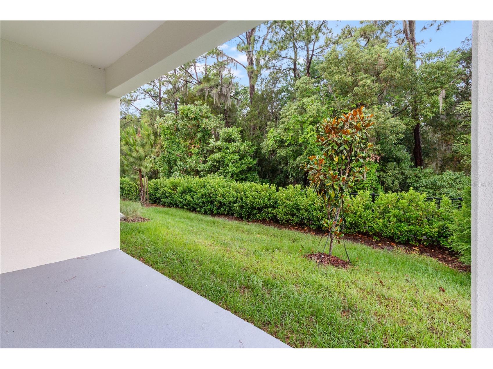 31365 Paper Birch Street Wesley Chapel FL 33545 W7885974 image18