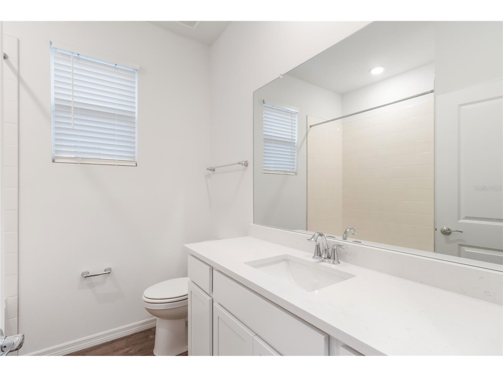 31365 Paper Birch Street Wesley Chapel FL 33545 W7885974 image27