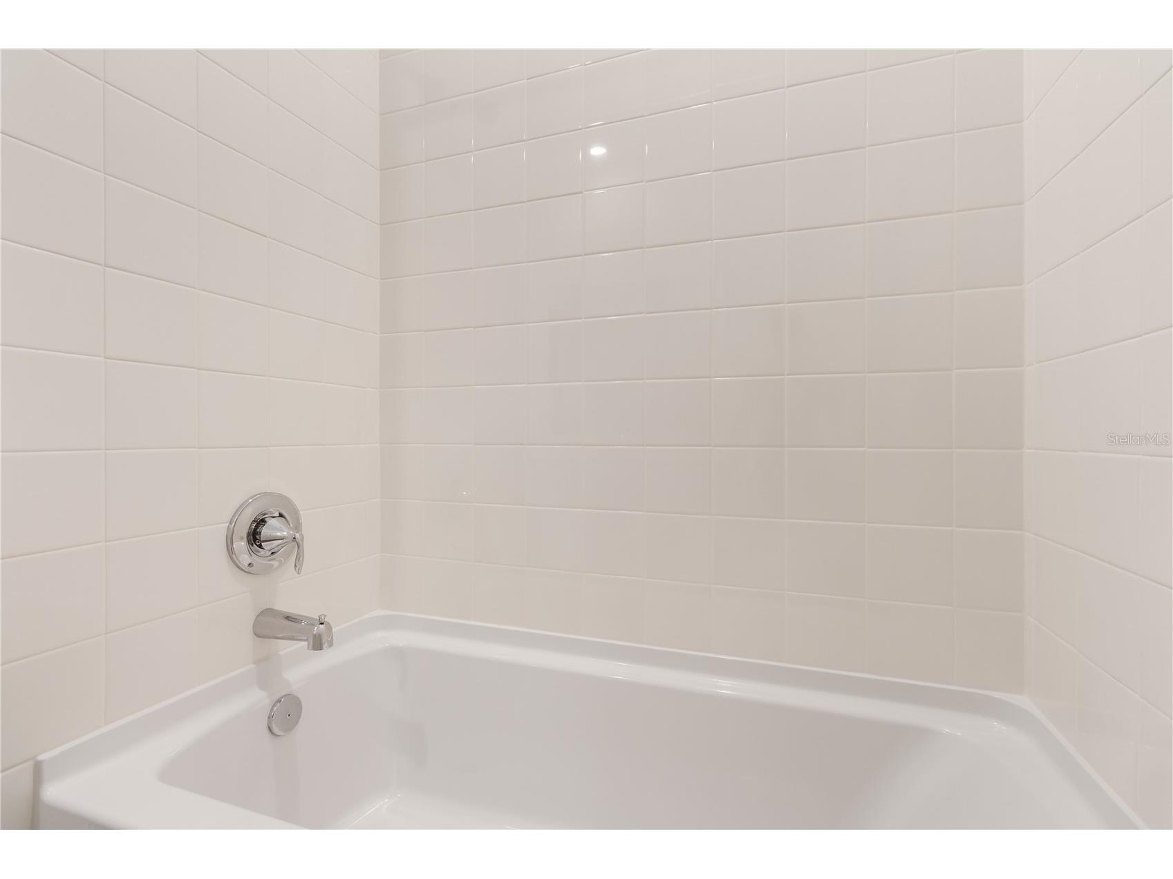 31365 Paper Birch Street Wesley Chapel FL 33545 W7885974 image28