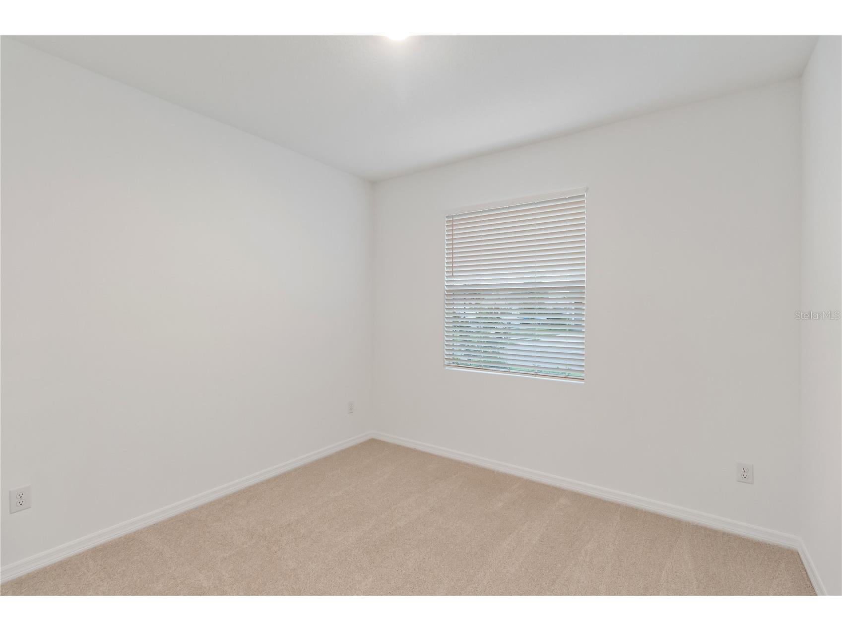 31365 Paper Birch Street Wesley Chapel FL 33545 W7885974 image29