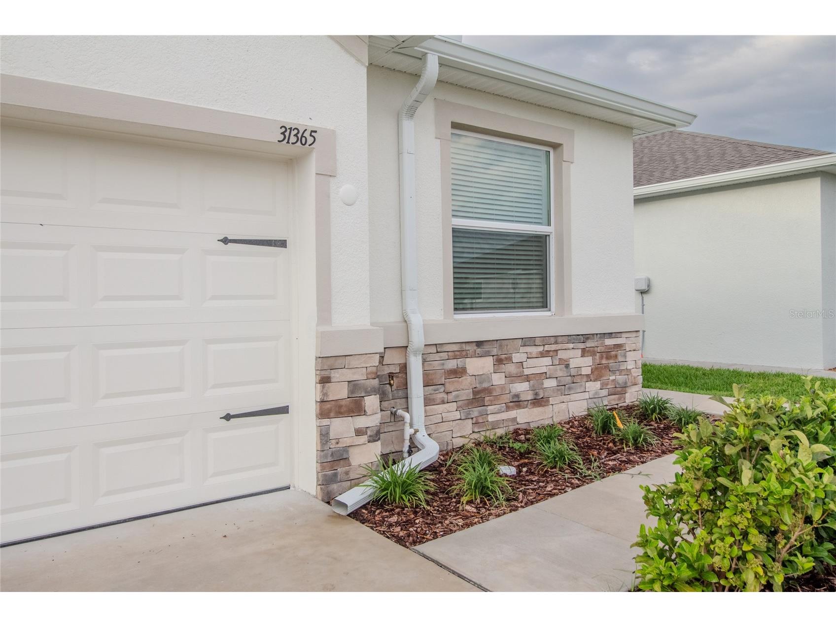 31365 Paper Birch Street Wesley Chapel FL 33545 W7885974 image3