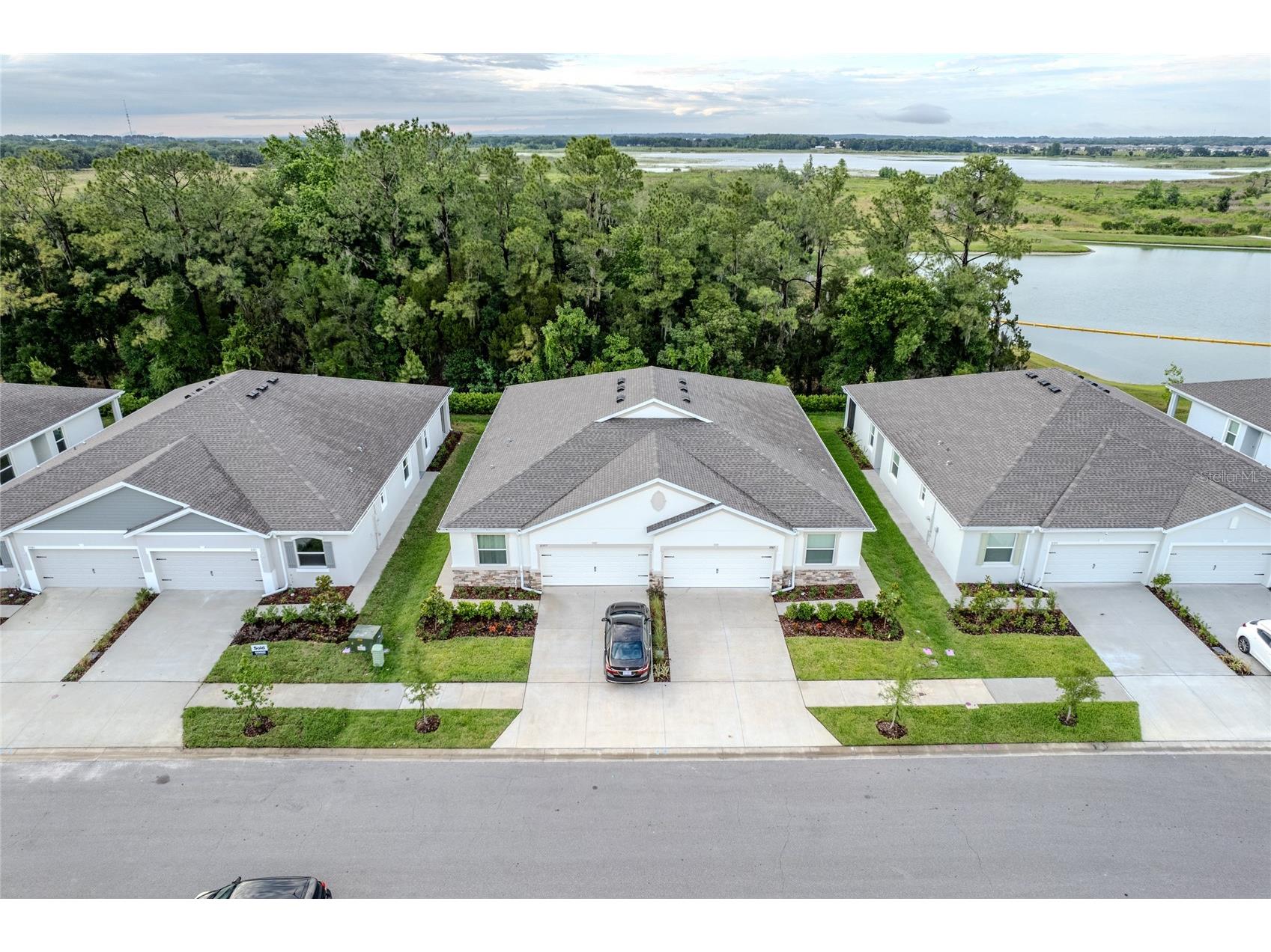 31365 Paper Birch Street Wesley Chapel FL 33545 W7885974 image31
