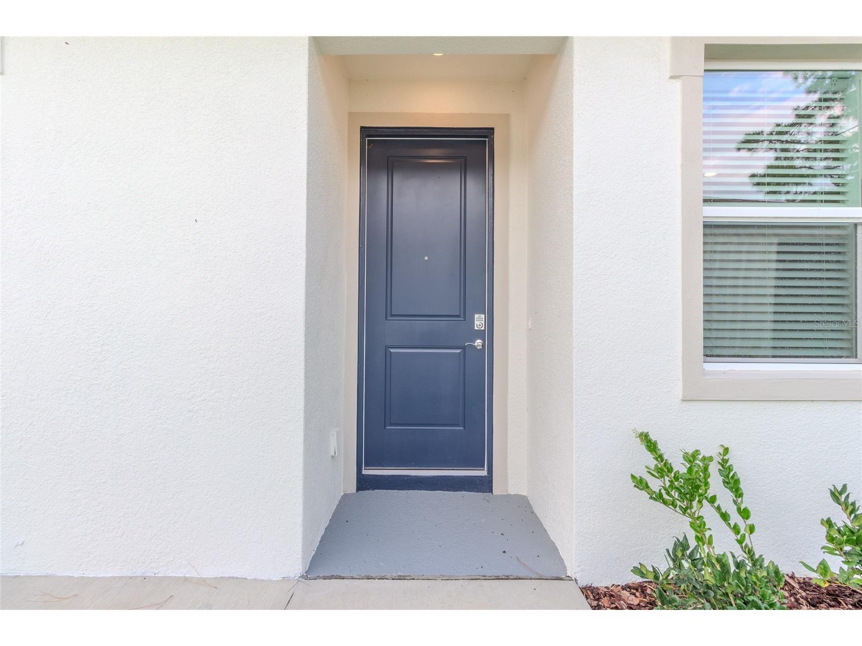 31365 Paper Birch Street Wesley Chapel FL 33545 W7885974 image4