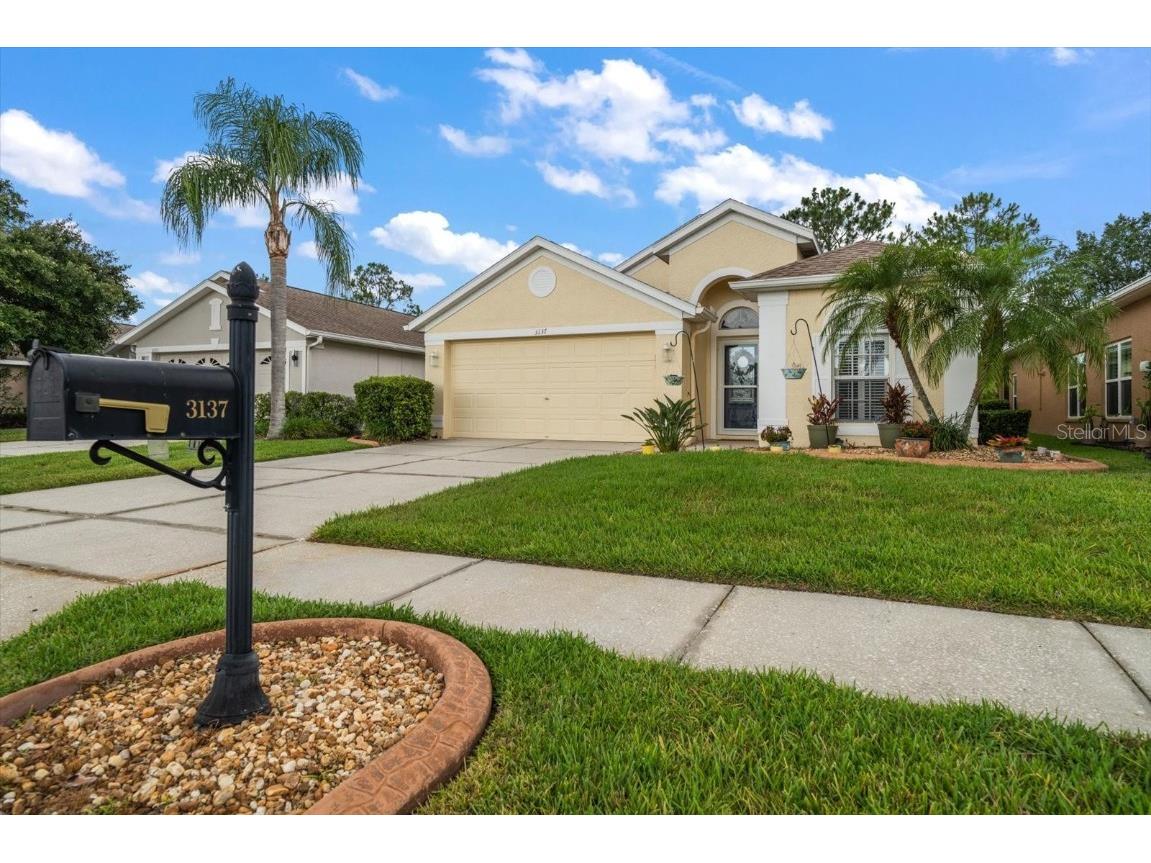 3137 Banyan Hill Lane Land O Lakes FL 34639 TB8398028 image1