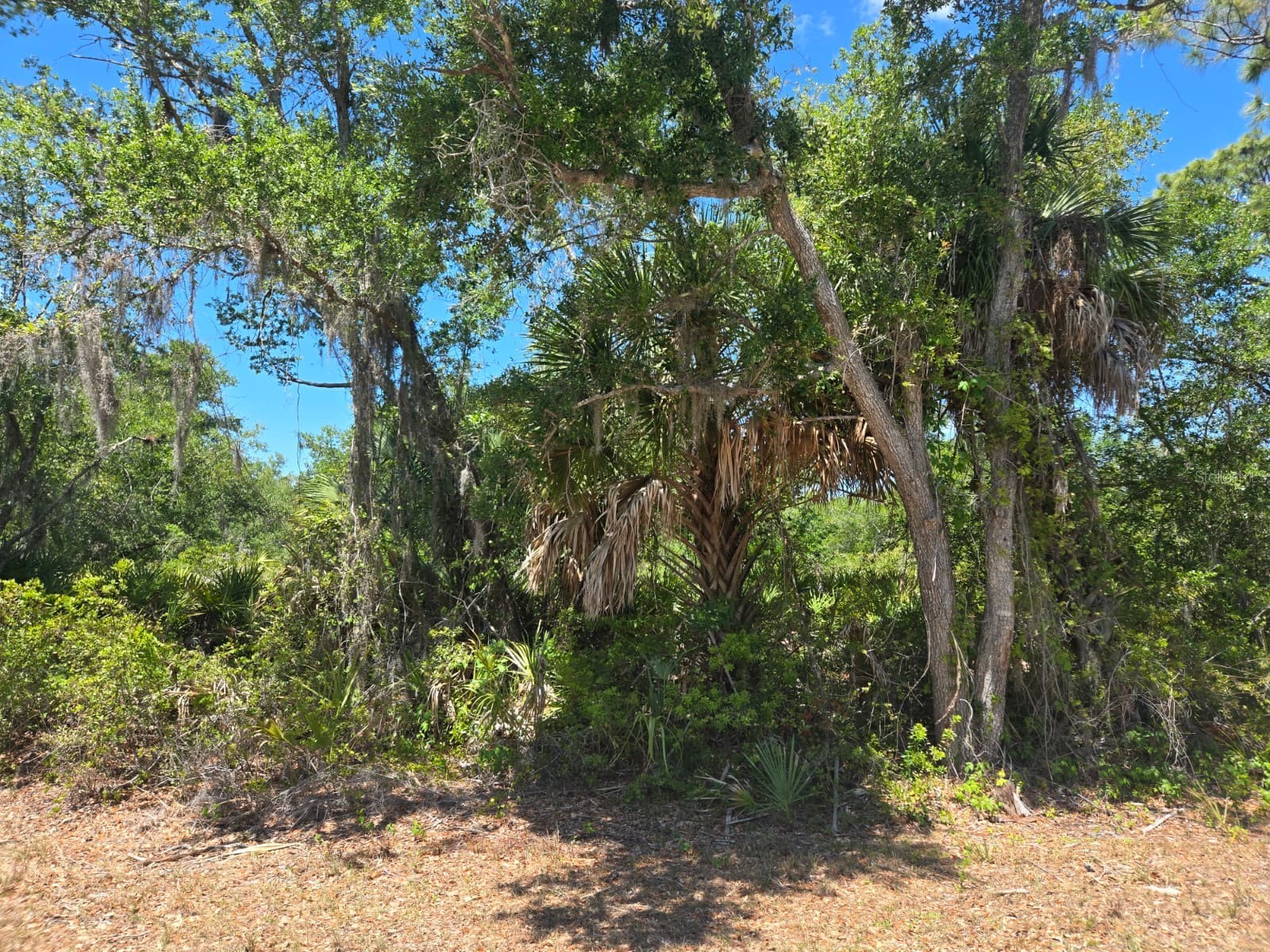 3137 Calexico Street Port Charlotte FL 33948 S5149222 image1