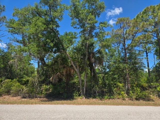 3137 Calexico Street Port Charlotte FL 33948 S5149222 image3