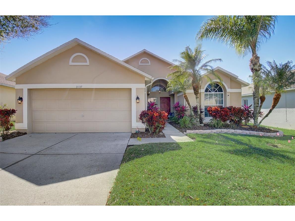 3137 Castle Rock Circle Land O Lakes FL 34639 U8231040 image1