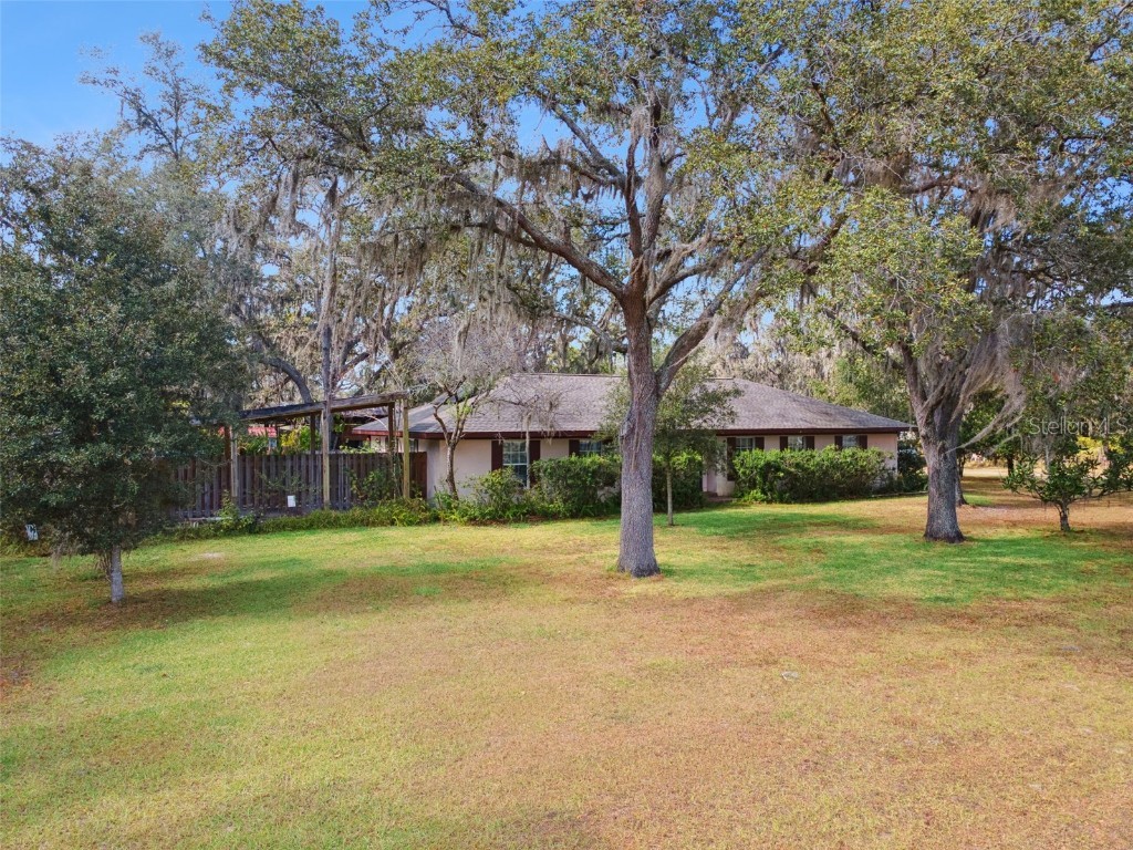 3137 Diana Drive Zephyrhills FL 33541 P4937075 image1