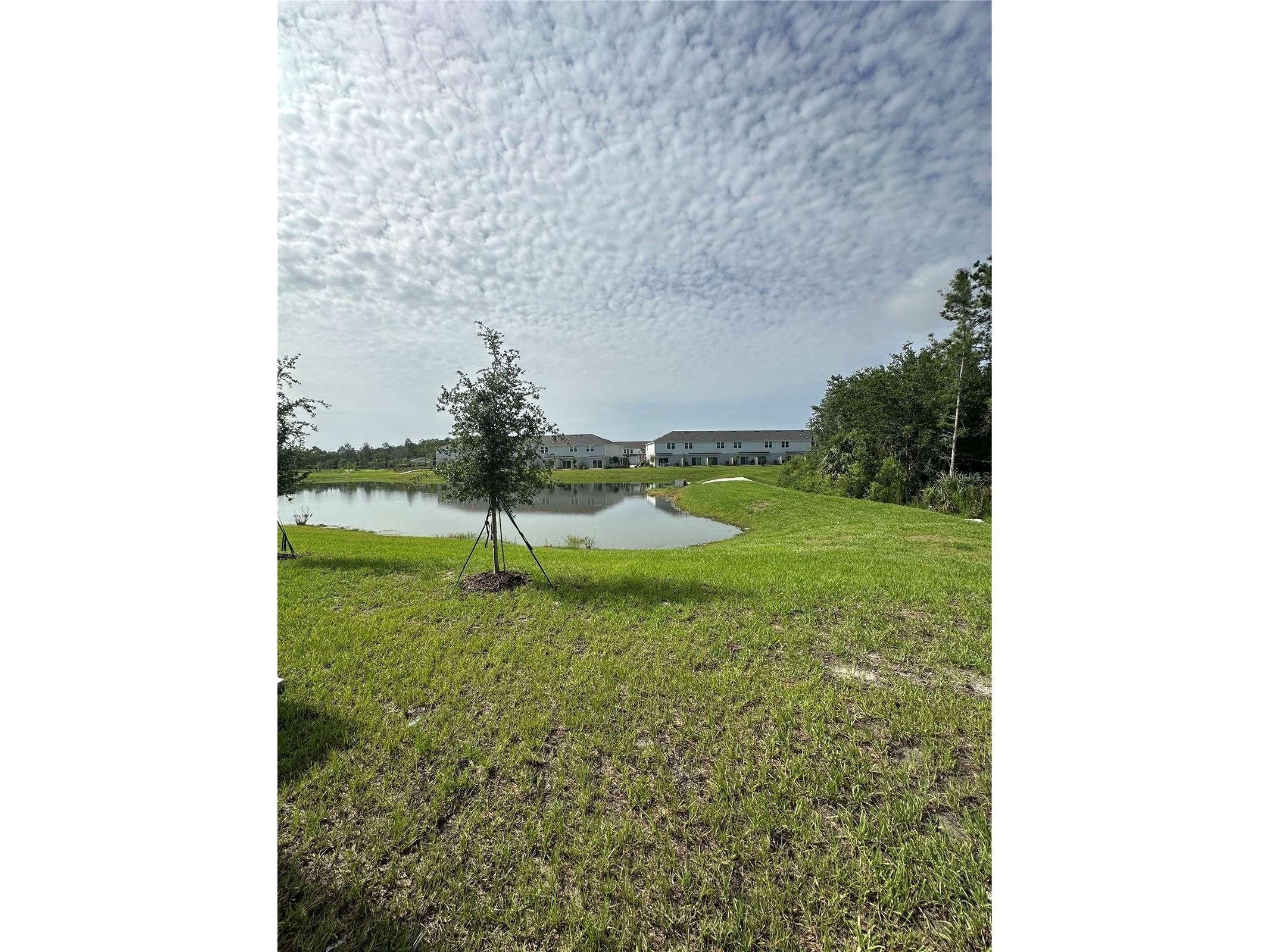 3137 Skyline Loop Kissimmee FL 34758 S5148894 image11