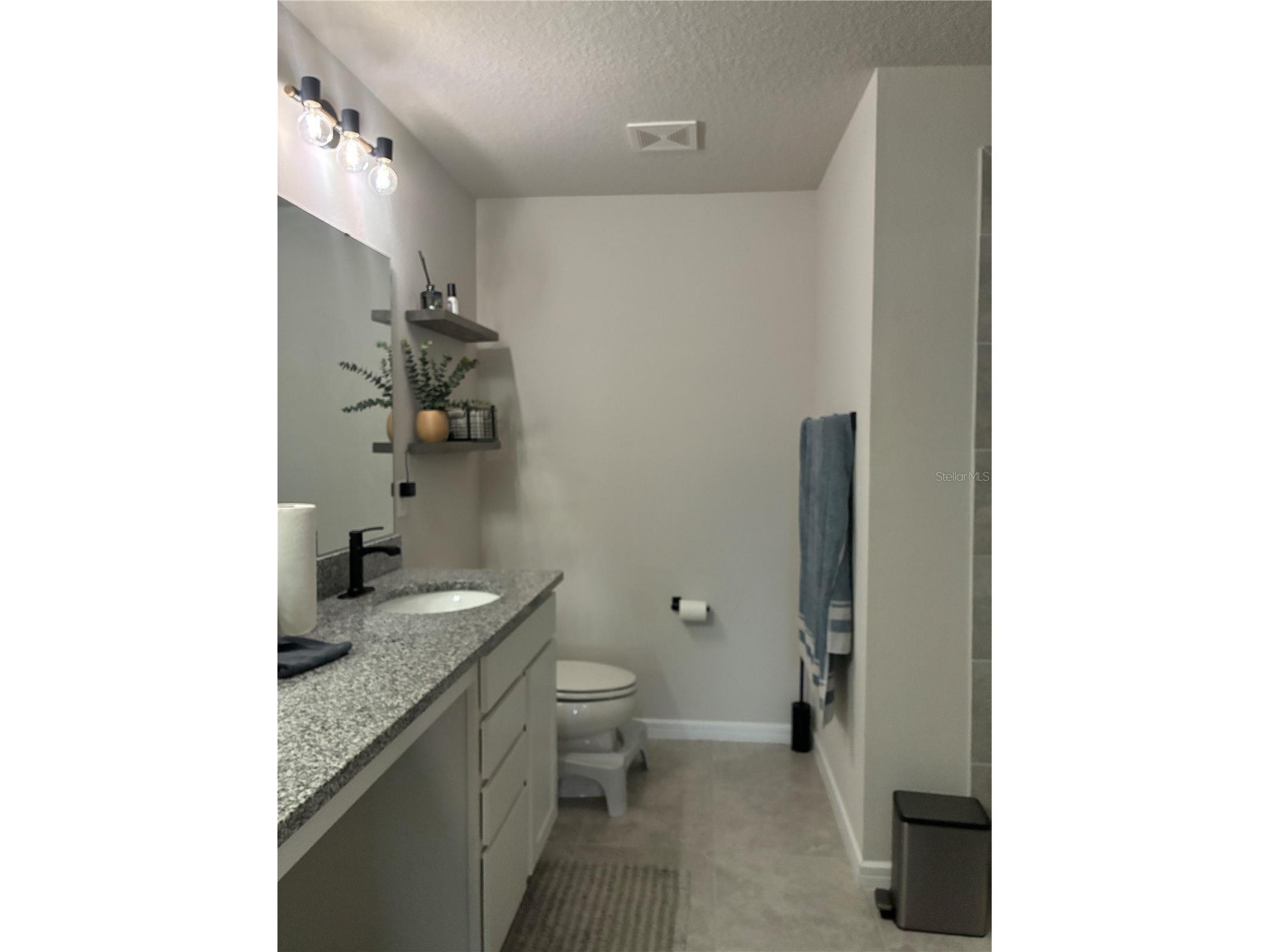 31371 Amberview Bend Wesley Chapel FL 33545 TB8511631 image20