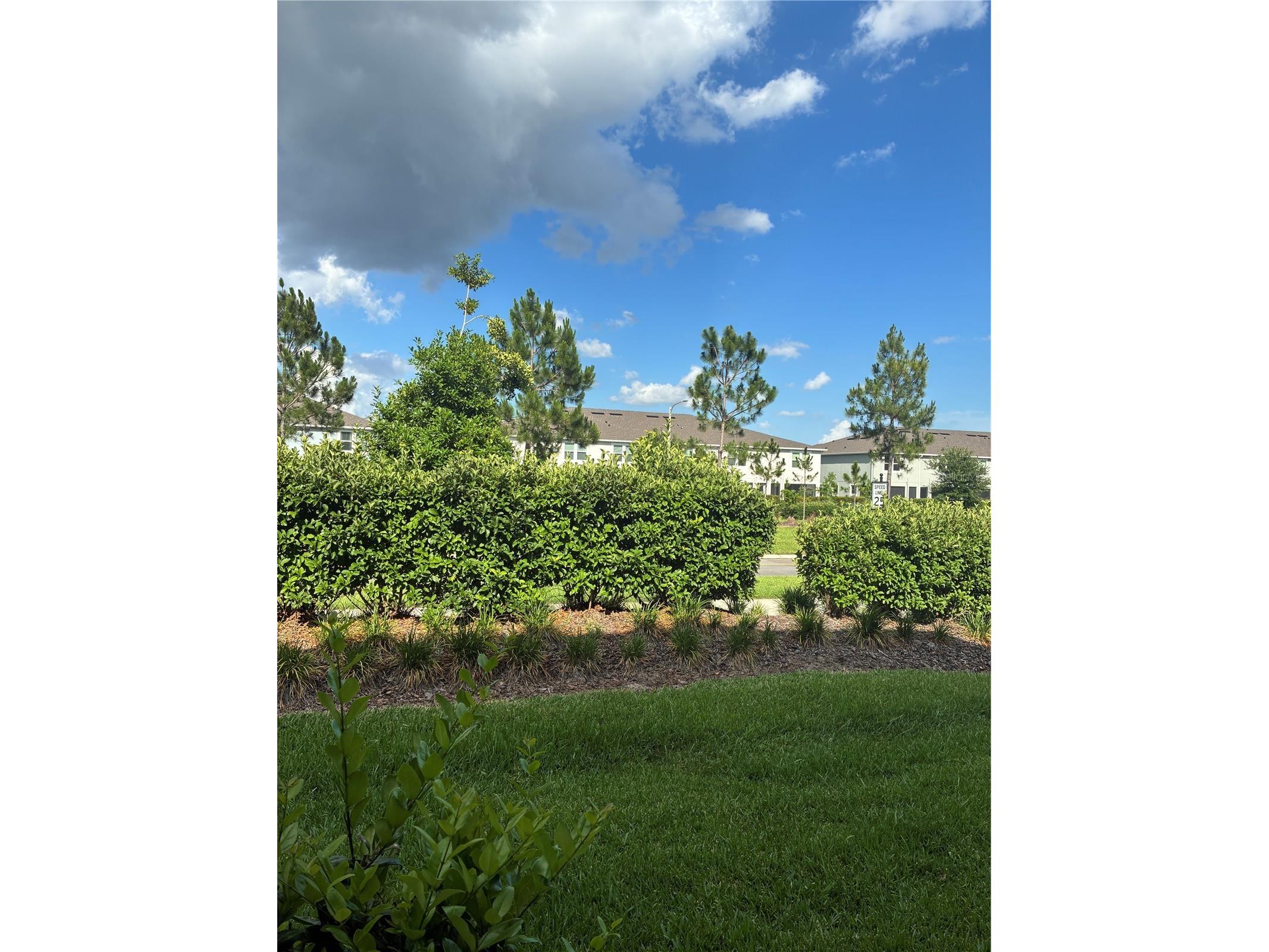 31371 Amberview Bend Wesley Chapel FL 33545 TB8511631 image33