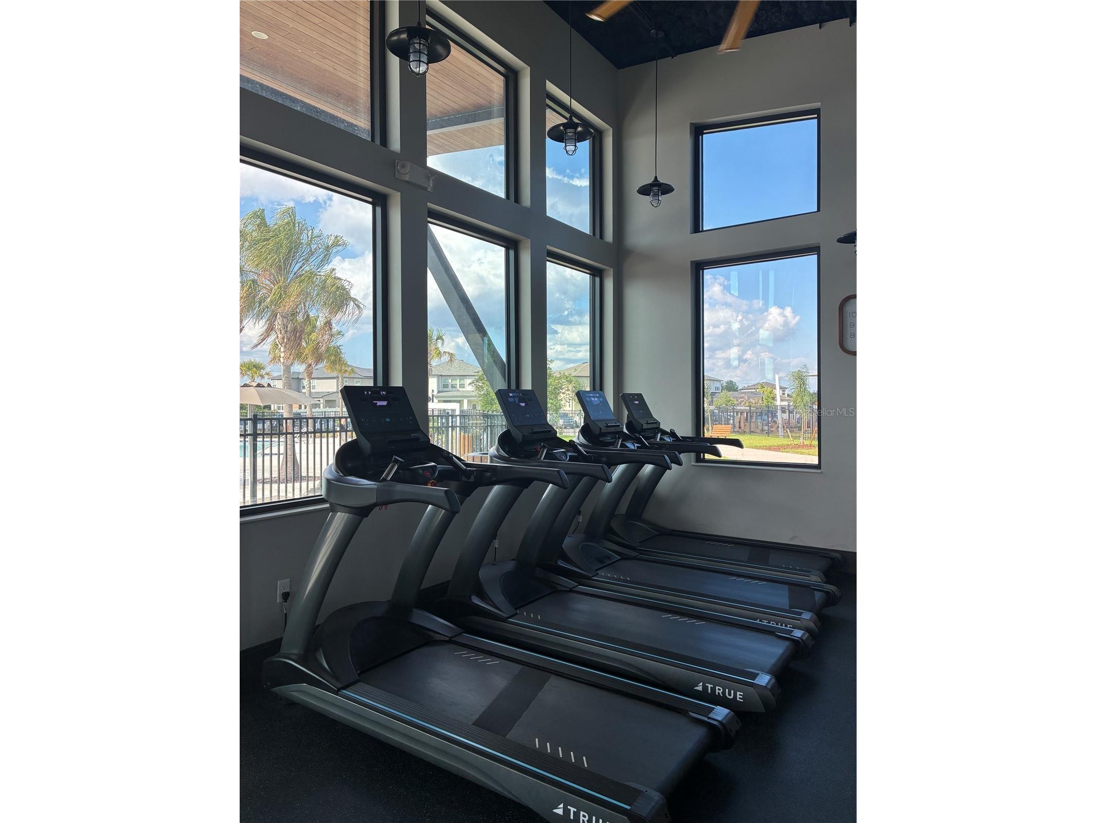 31371 Amberview Bend Wesley Chapel FL 33545 TB8511631 image37